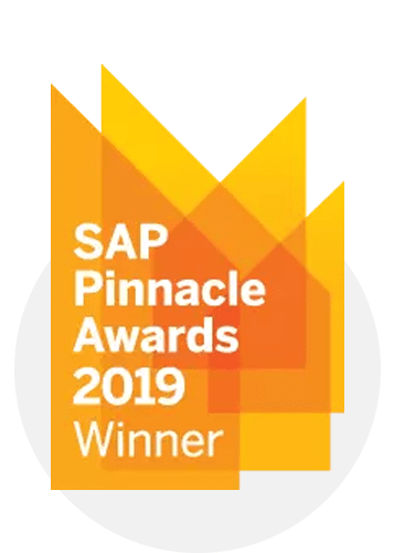 2019 年 SAP Pinnacle 奖获得者