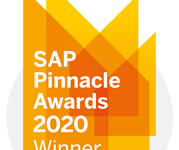 2020 年 SAP Pinnacle 奖获得者