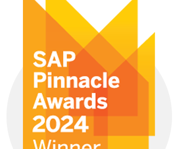 2024 年 SAP Pinnacle 奖获得者