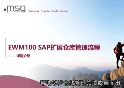 掌握SAP EWM技能，开启物流管理新未来