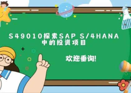 深入探索SAP S/4HANA中的投资项目管理